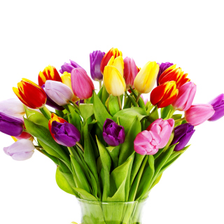 Tulips Bouquet Wallpaper for iPad mini