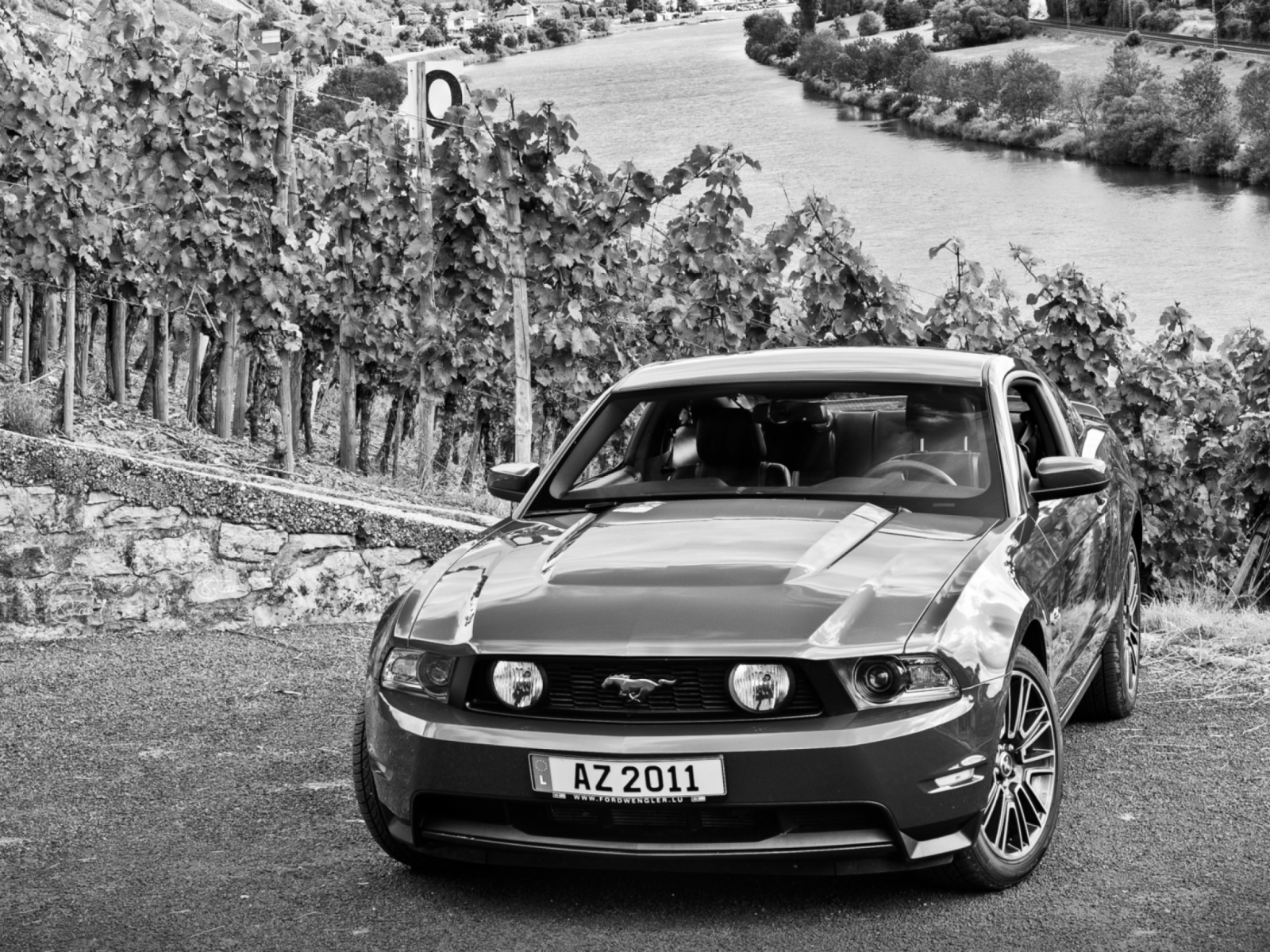 Fondo de pantalla Mustang V8 1600x1200