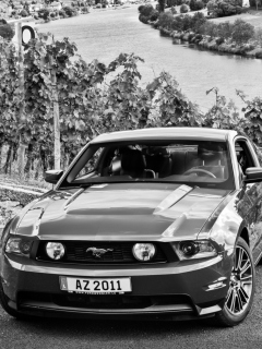 Mustang V8 wallpaper 240x320