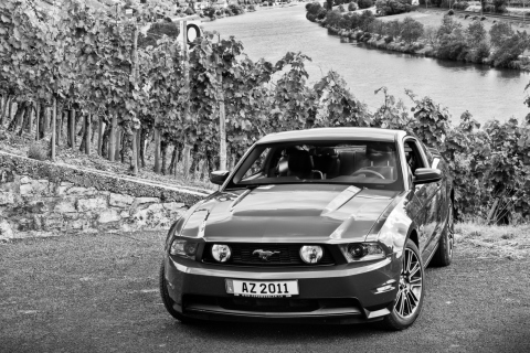 Sfondi Mustang V8 480x320