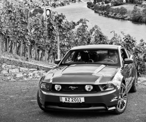 Mustang V8 screenshot #1 480x400