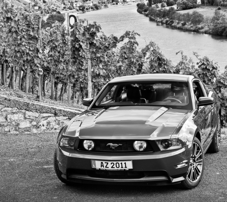 Mustang V8 wallpaper 960x854