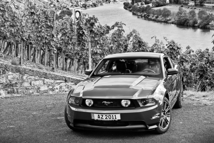 Fondo de pantalla Mustang V8