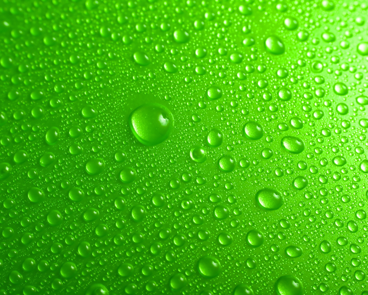 Sfondi Green Water Drops 1280x1024