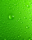 Обои Green Water Drops 128x160