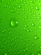 Fondo de pantalla Green Water Drops 132x176