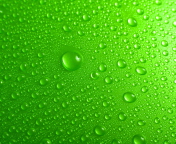 Green Water Drops wallpaper 176x144