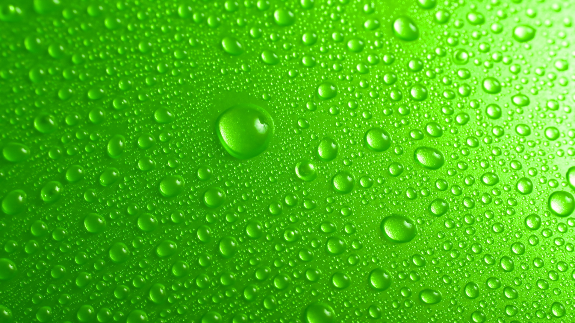 Fondo de pantalla Green Water Drops 1920x1080