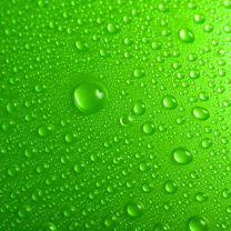 Sfondi Green Water Drops 208x208