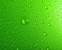 Fondo de pantalla Green Water Drops 220x176