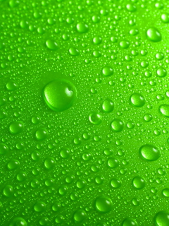 Обои Green Water Drops 240x320