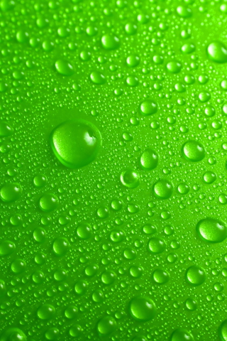 Green Water Drops wallpaper 320x480