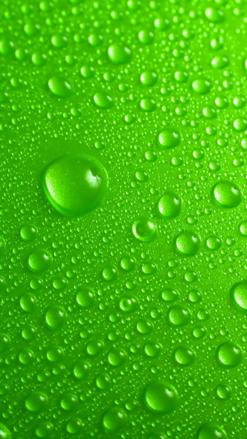 Das Green Water Drops Wallpaper 360x640