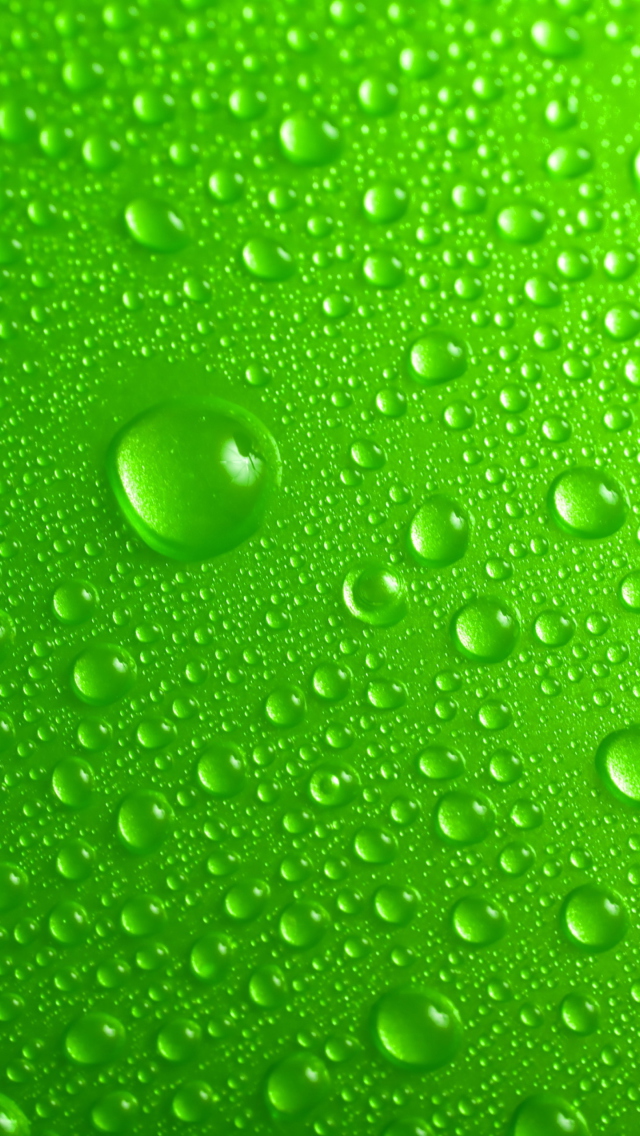 Обои Green Water Drops 640x1136