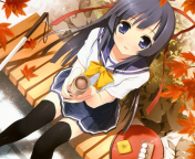 Screenshot №1 pro téma Anime Girl 176x144