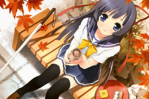 Das Anime Girl Wallpaper 480x320