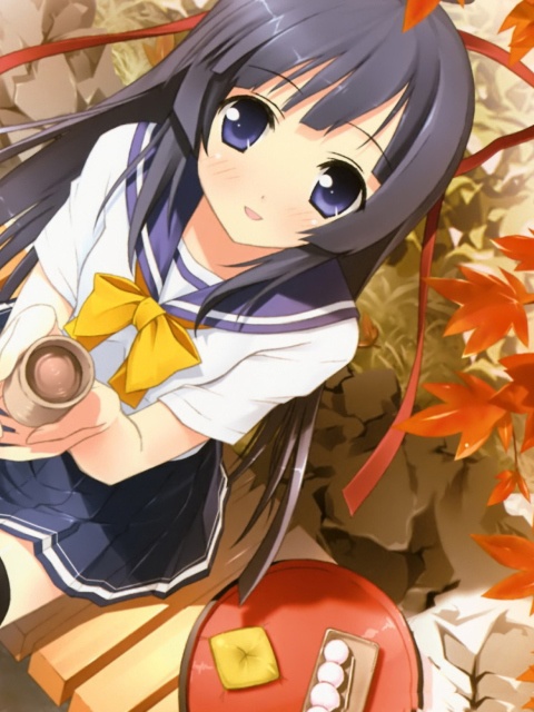 Anime Girl wallpaper 480x640