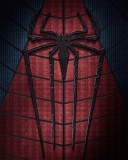 Fondo de pantalla The Amazing Spider Man 2 2014 128x160