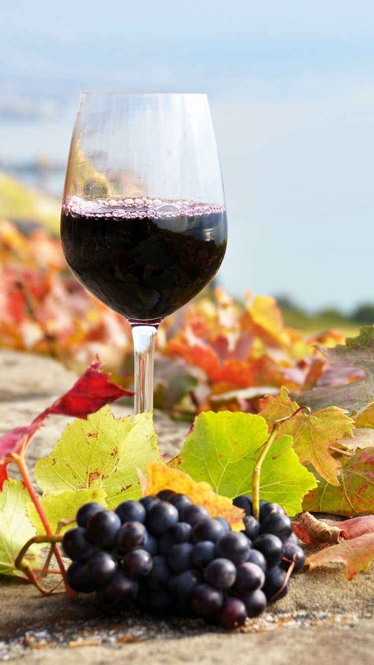 Wine Test in Vineyards wallpaper 750x1334