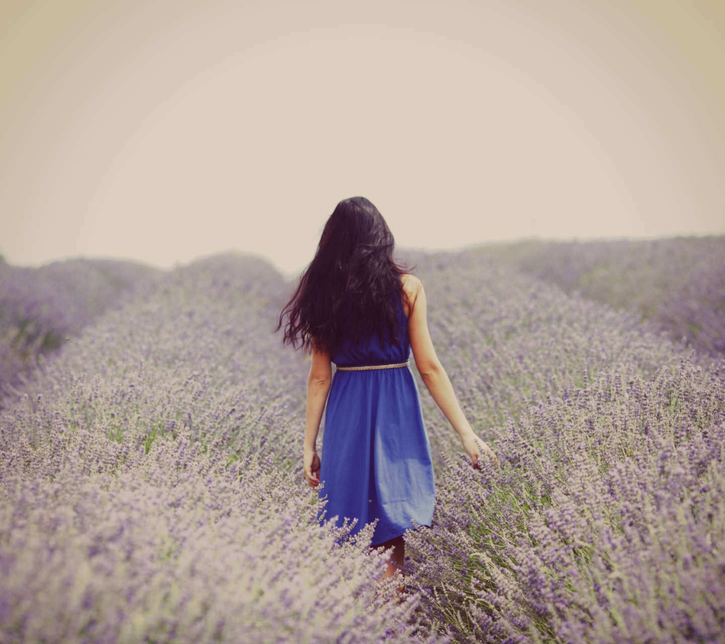 Sfondi Lavender Dress Lavender Field 1440x1280