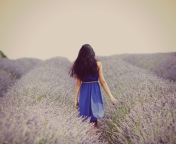 Sfondi Lavender Dress Lavender Field 176x144