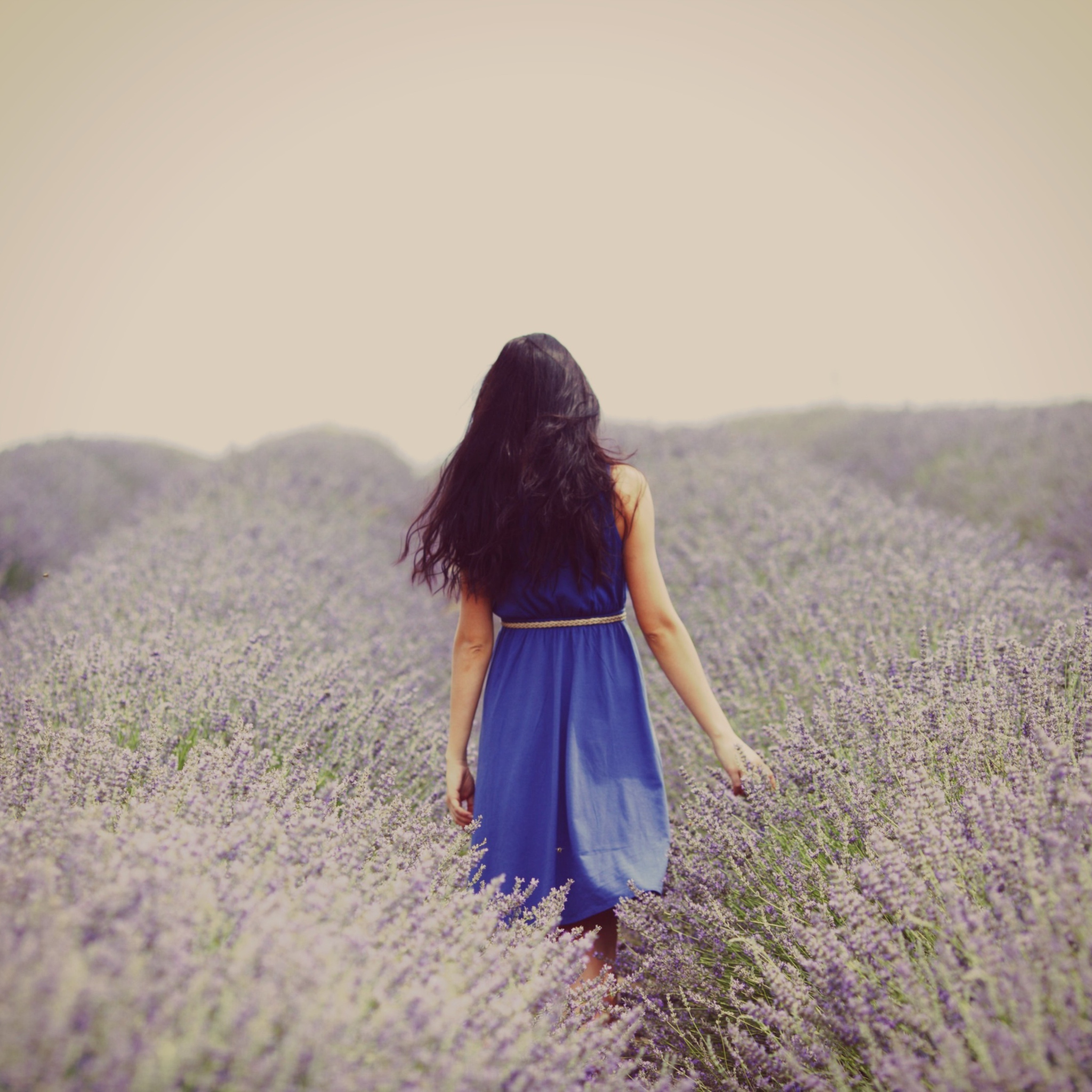 Обои Lavender Dress Lavender Field 2048x2048
