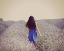 Sfondi Lavender Dress Lavender Field 220x176
