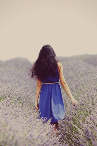 Lavender Dress Lavender Field screenshot #1 320x480
