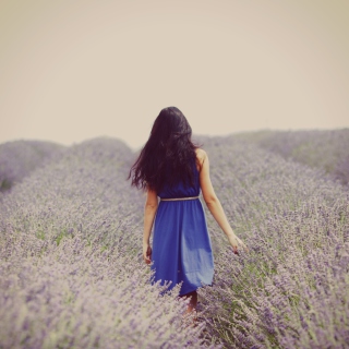 Kostenloses Lavender Dress Lavender Field Wallpaper für 1024x1024