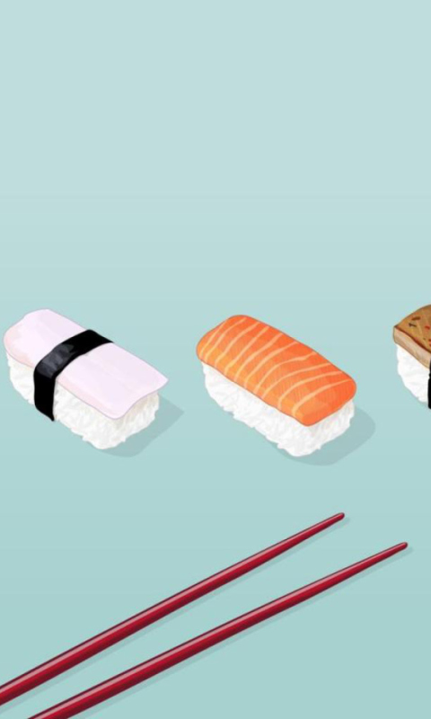 Sushi Lunch wallpaper 480x800