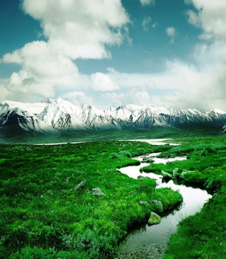 Free Mountains Picture for Nokia Asha 311