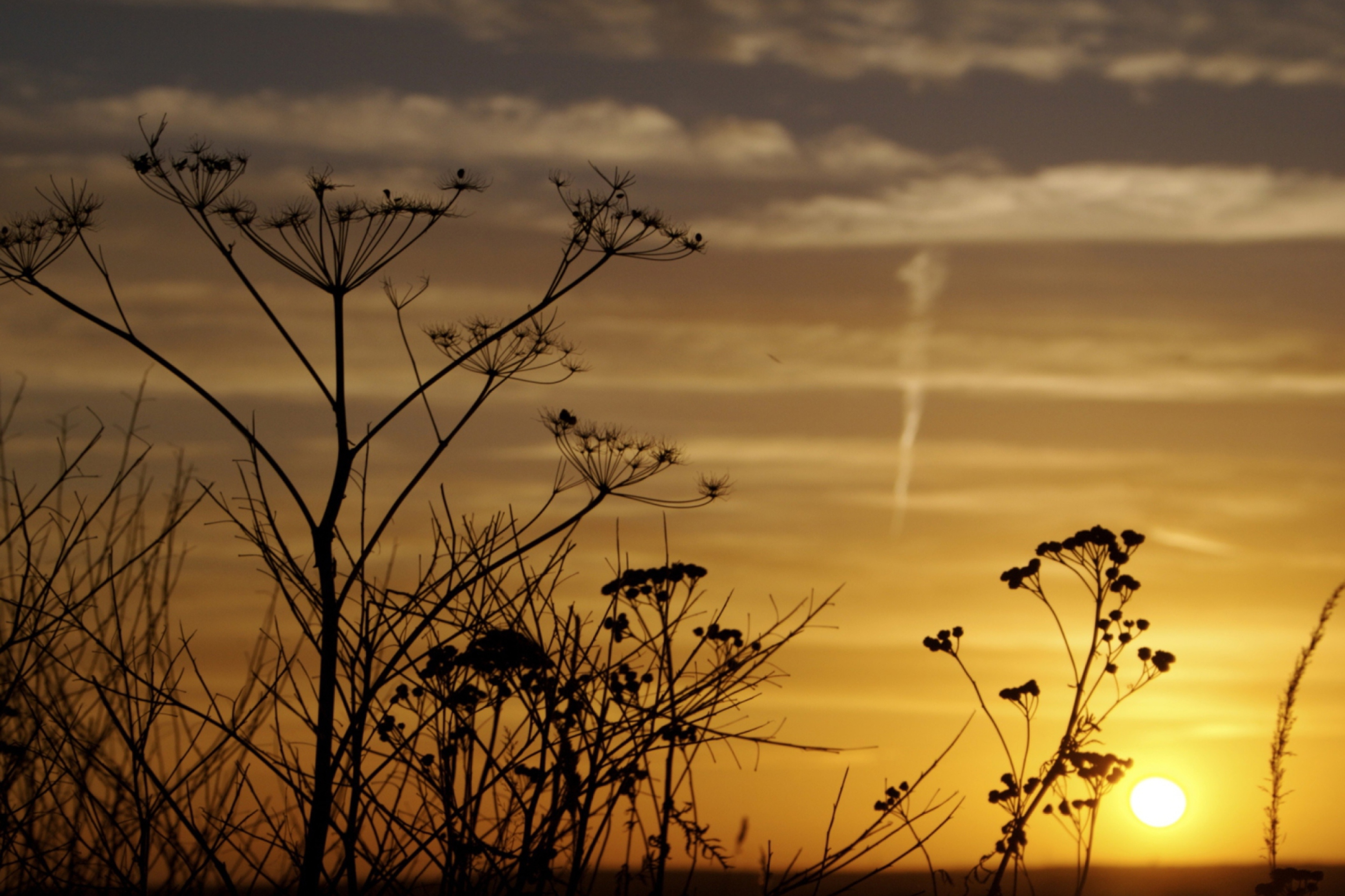 Обои Sunset Over Stockholm 2880x1920