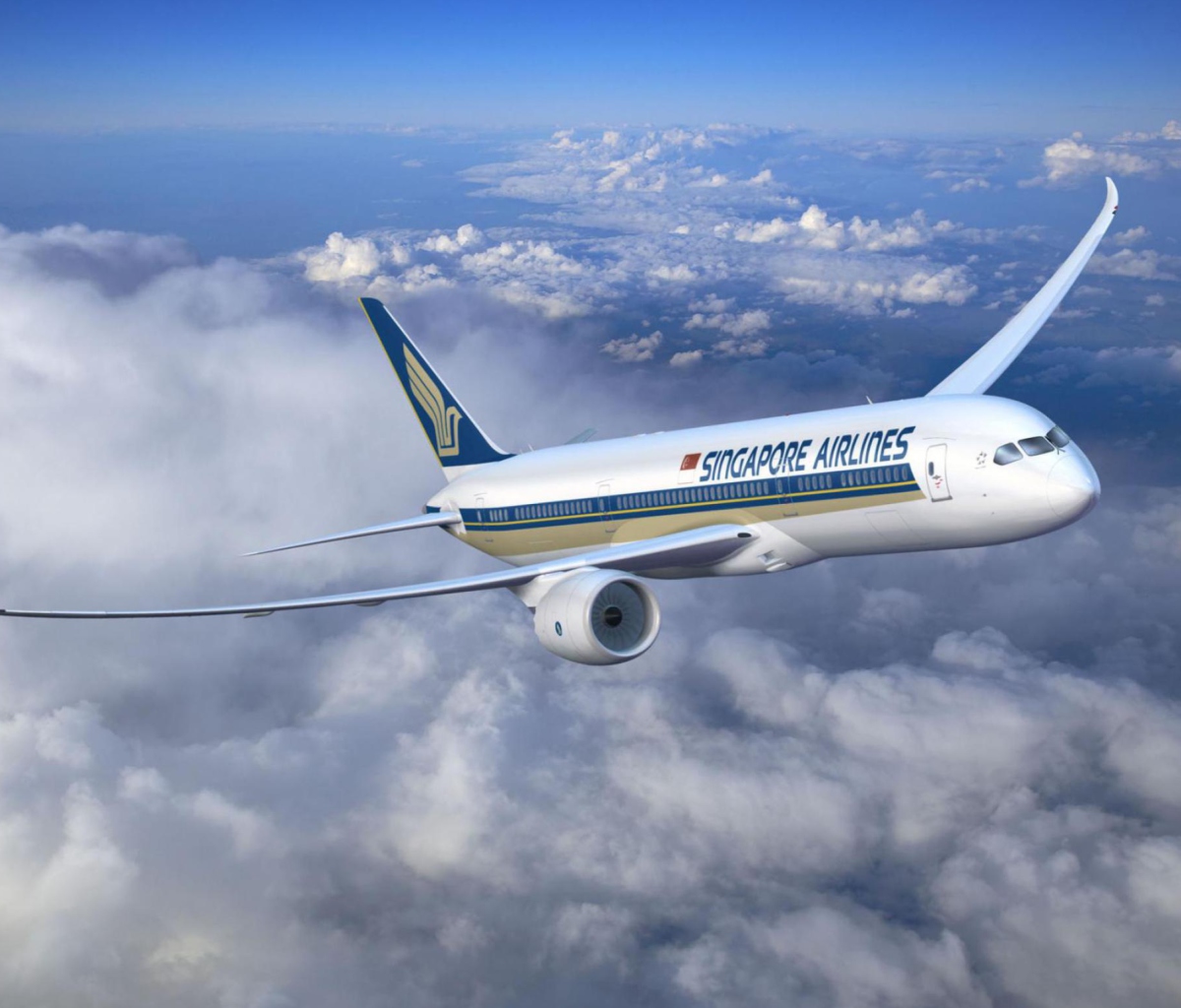 Singapore Airlines screenshot #1 1200x1024