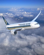Singapore Airlines wallpaper 176x220