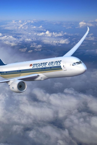 Singapore Airlines wallpaper 320x480