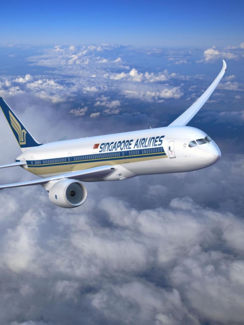 Singapore Airlines wallpaper 480x640