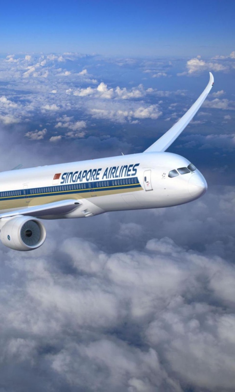 Fondo de pantalla Singapore Airlines 480x800