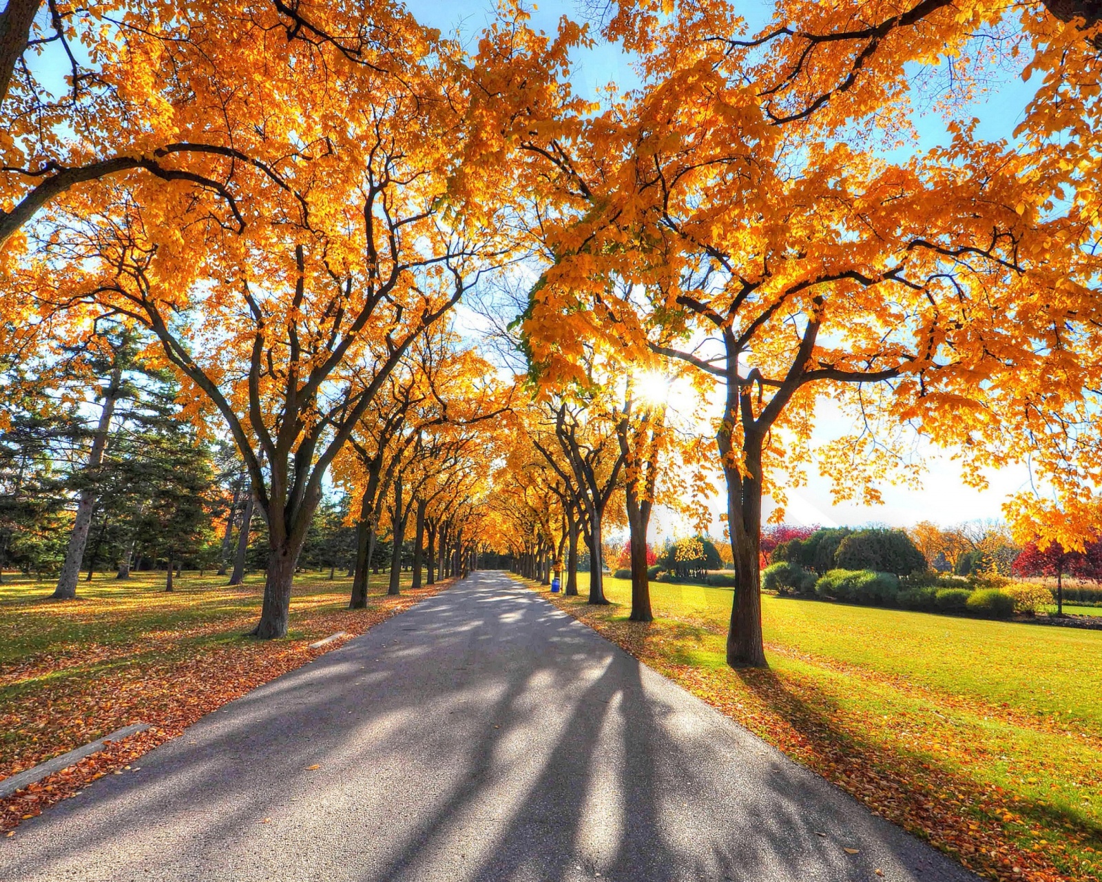 Fondo de pantalla Autumn Alley in September 1600x1280