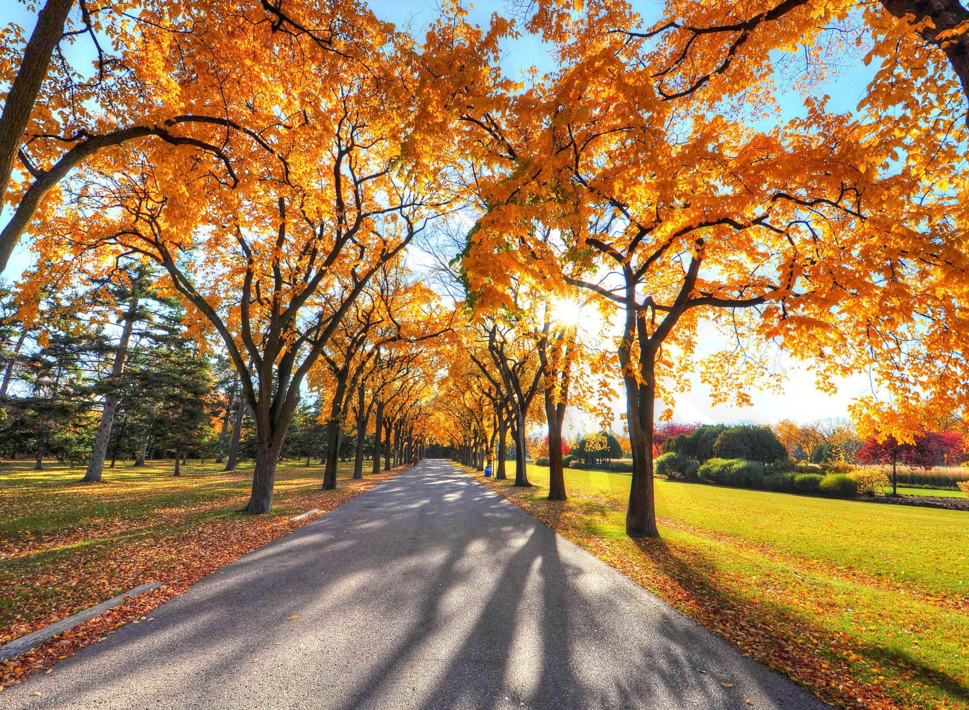 Обои Autumn Alley in September 1920x1408