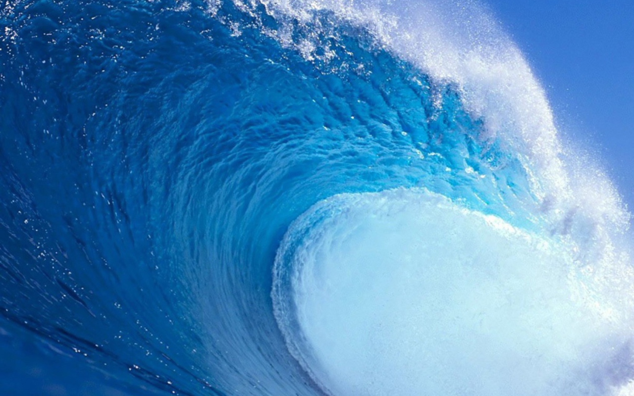 Sfondi Surf Wave 1280x800