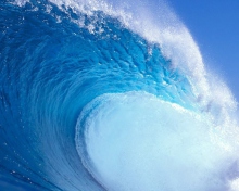 Screenshot №1 pro téma Surf Wave 220x176