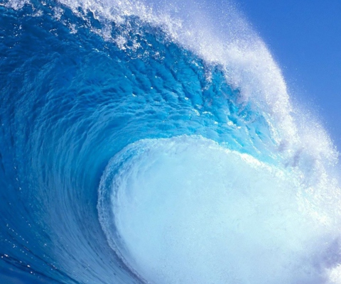 Surf Wave wallpaper 480x400