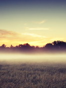 Sfondi Morning Fog 132x176