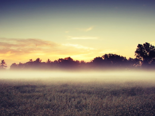 Morning Fog screenshot #1 320x240