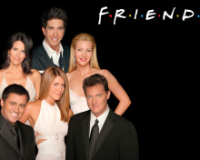 Friends Tv Show screenshot #1 220x176