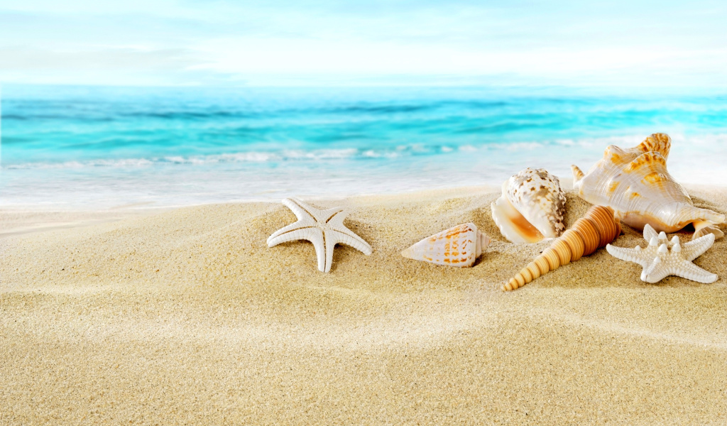 Das Seashells on Sand Beach Wallpaper 1024x600