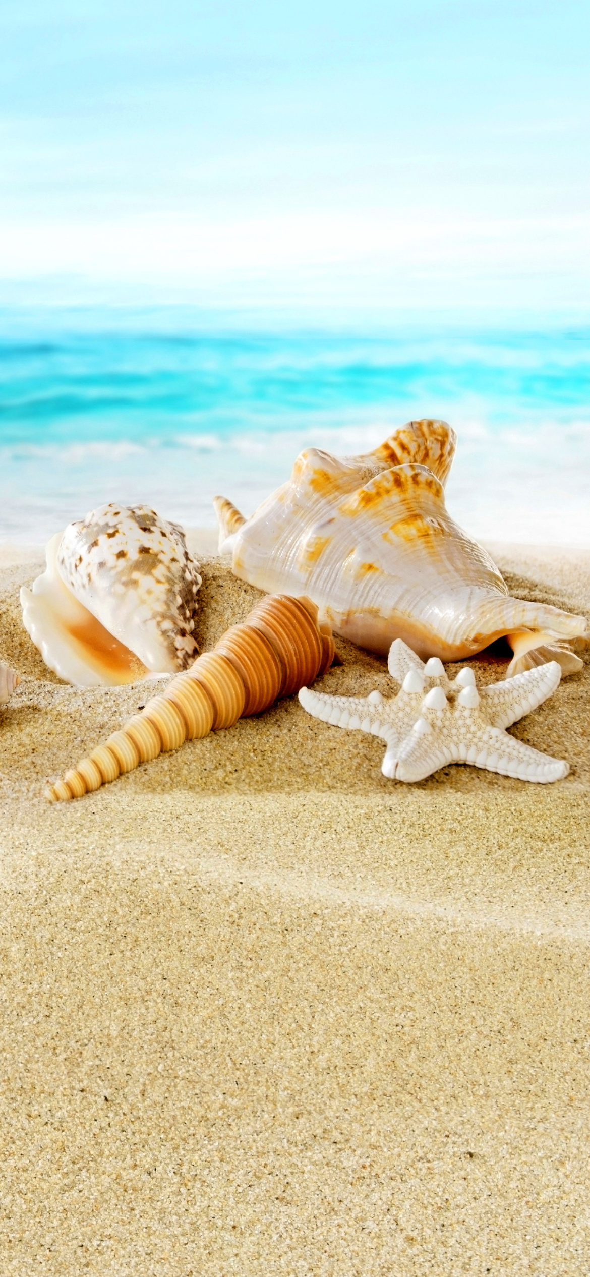 Screenshot №1 pro téma Seashells on Sand Beach 1170x2532