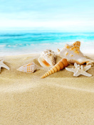 Seashells on Sand Beach screenshot #1 132x176