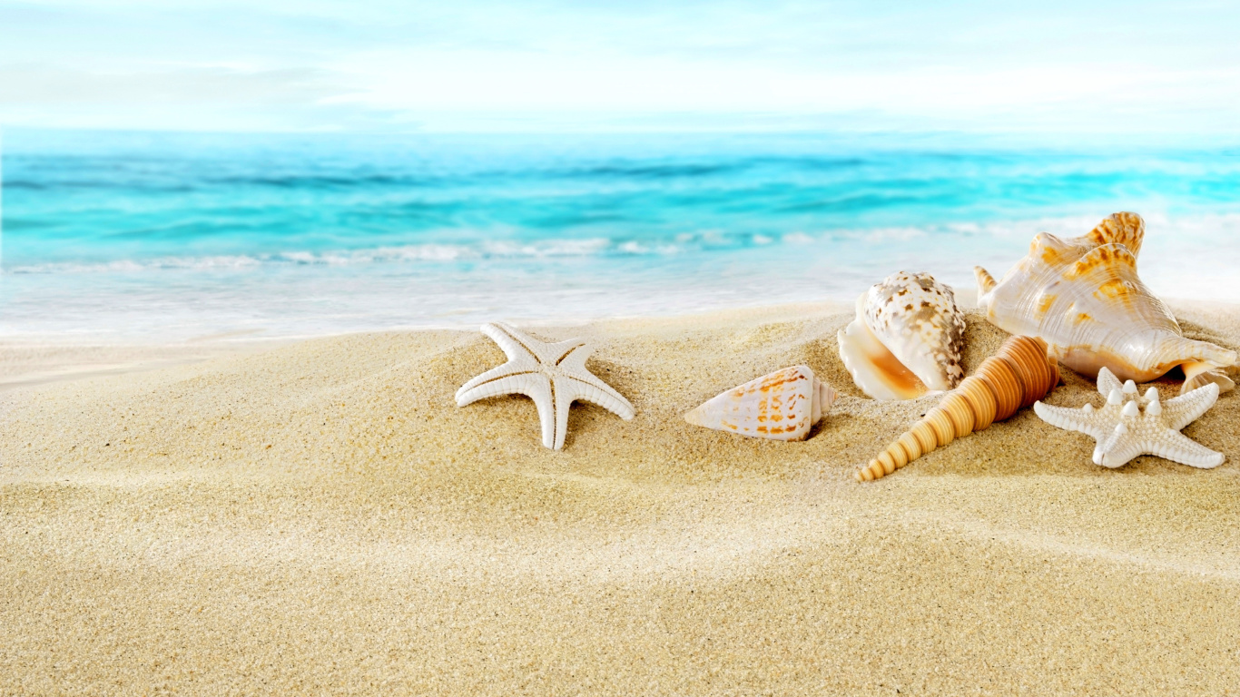 Das Seashells on Sand Beach Wallpaper 1366x768