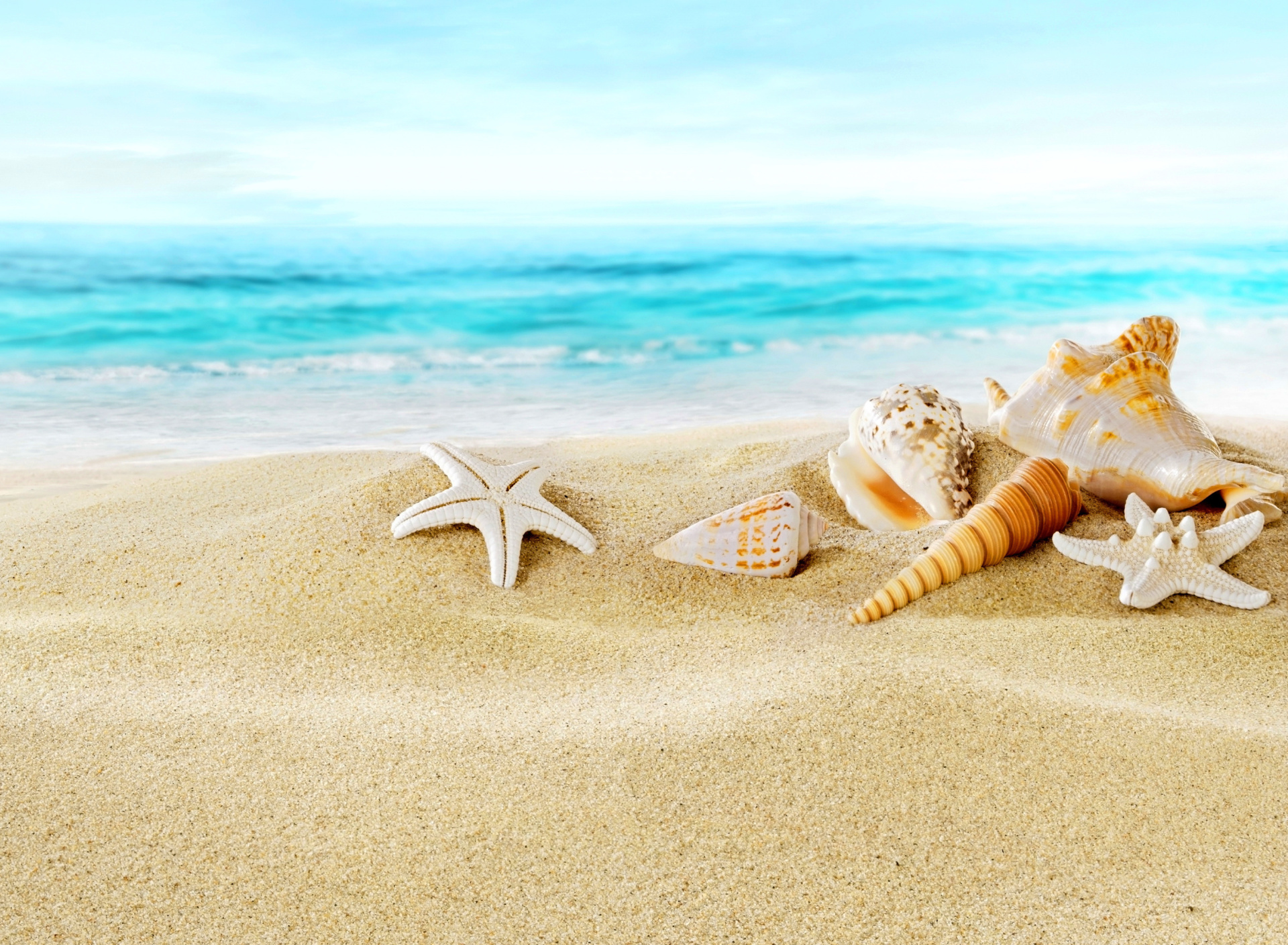 Seashells on Sand Beach screenshot #1 1920x1408